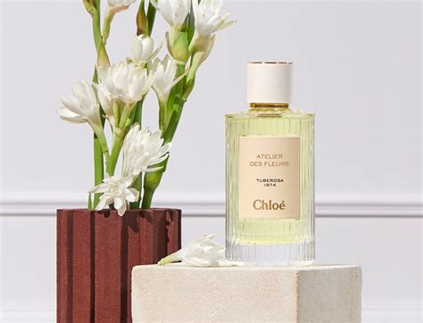 chloe parfum|chloe perfumes official site.